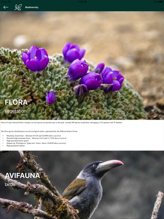 Screenshot #6 pour Parque Nacional Cajas