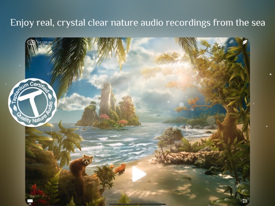 Screenshot #5 pour Sunny Sea Ocean Sleep Sounds