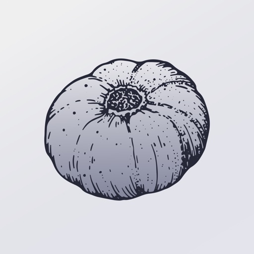 Mâche - Recettes de cuisine