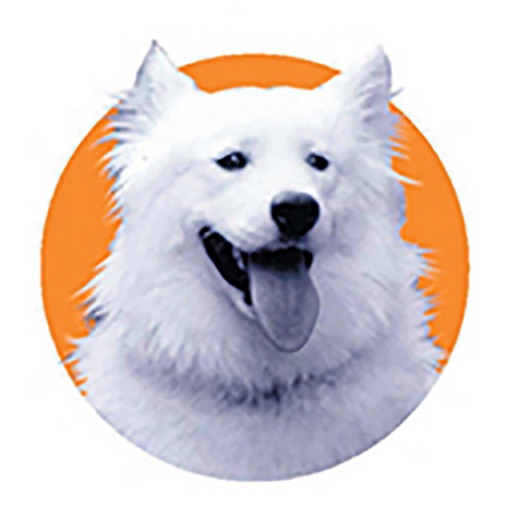 BMF Practice Hygiene