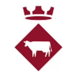 Viu Vacarisses app icon