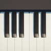 Piano Play & Learn - Ammonite Design Studios Ltd