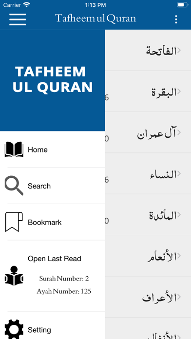 Screenshot #3 pour Tafheem ul Quran in English