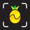 Nutrify: Whole Food Tracker icon