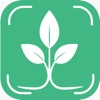 Tree Identifier And Diagnosis