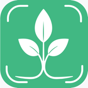 Tree Identifier And Diagnosis