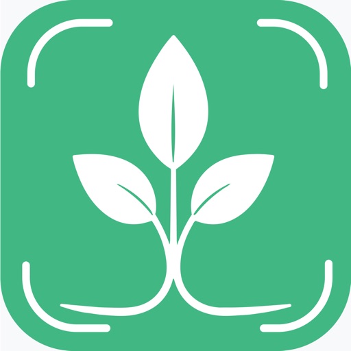 Tree Identifier And Diagnosis