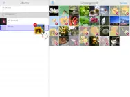 Easy Albums ipad bilder 0