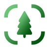 Tree Identifier - AI Scanner icon