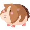 My Guinea Pig Bowl icon