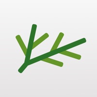 Shirabe Jisho app icon - Reference app for iPhone