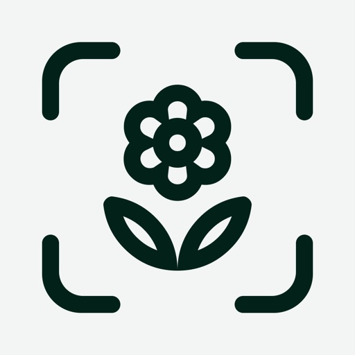 Planta