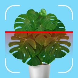 PlantBio: Ai Plant Identifier