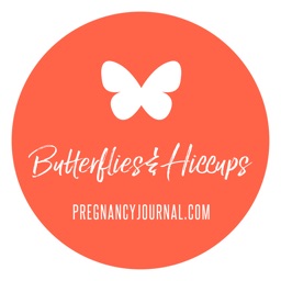 Butterflies & Hiccups Journal