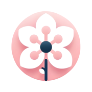 Speak Japanese - Sakuraspeak