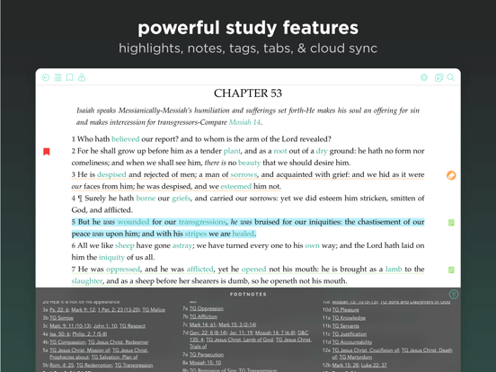Deseret Bookshelf LDS Books iPad screenshot 4 - Book app