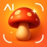 Get Mushroom ID - Fungi Finder for iOS, iPhone, iPad Aso Report