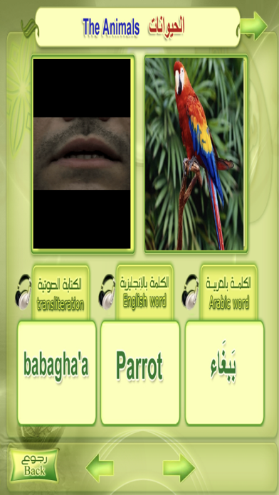 Screenshot #2 pour Complete Guide to Learn Arabic