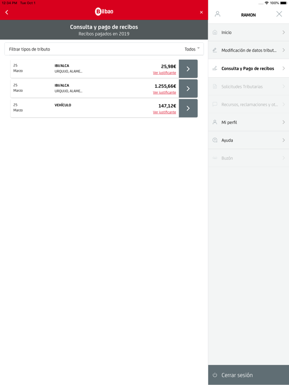 Screenshot #6 pour Bilbao UdalTax