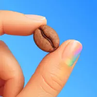 Coffee Journal - BeanBook