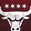 Chicago Bulls icon