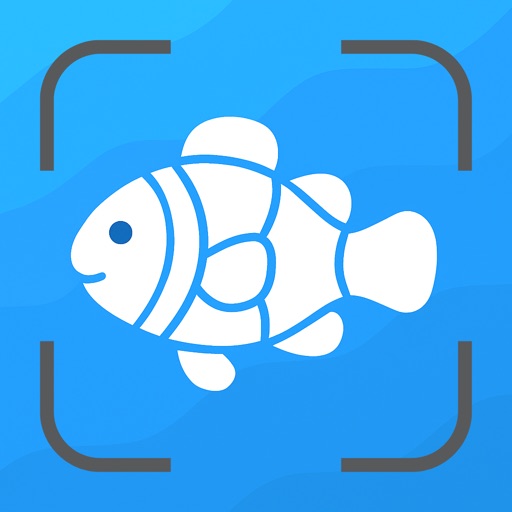 Fish Identifier AI Scan Hill