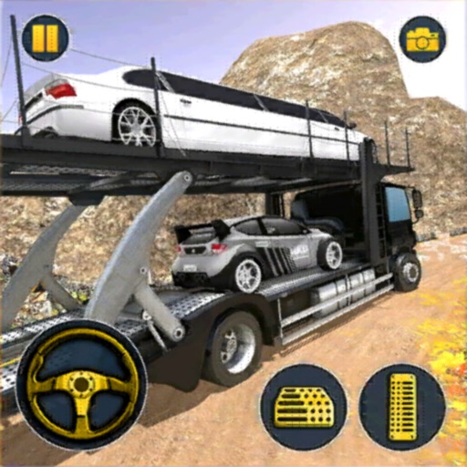 Vehicle Transporter Truck Game