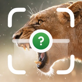 Animal Identifier & Scanner