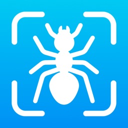 Insect ID: Insect Identifier