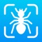 Discover & Identify Bugs Instantly with AI-Powered Technology