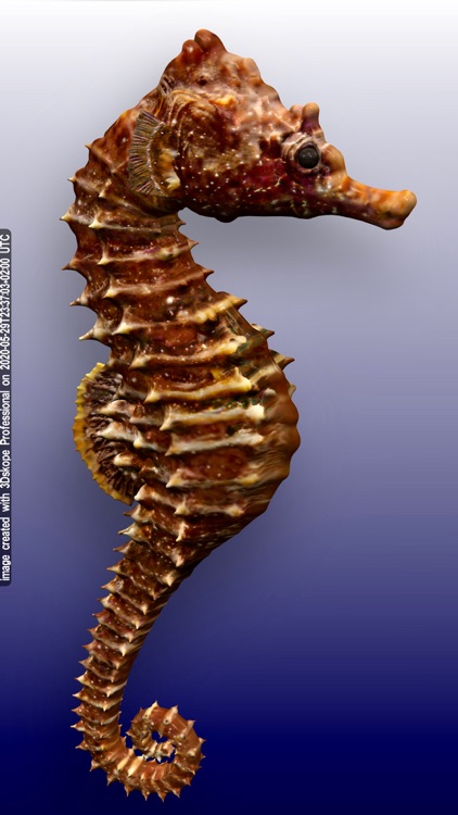 3Dskope screenshot-5