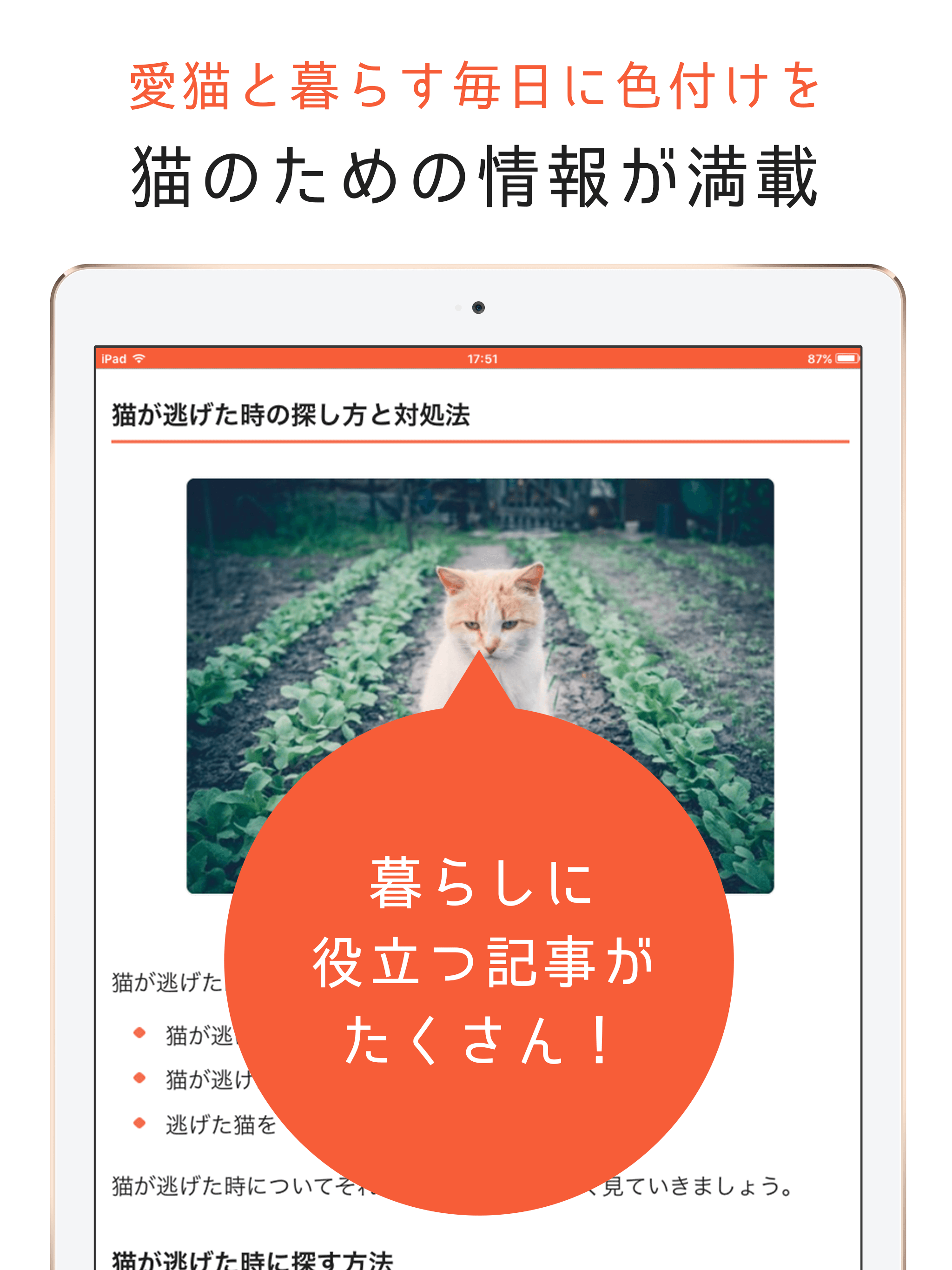 猫のニュースや飼い方の情報をまとめ読み -ねこちゃんホンポ-