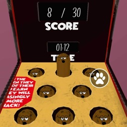 Rude Cat Catching Game