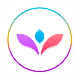 VectorView - File Organizer