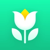 Plant Parent: Plant Care Guide