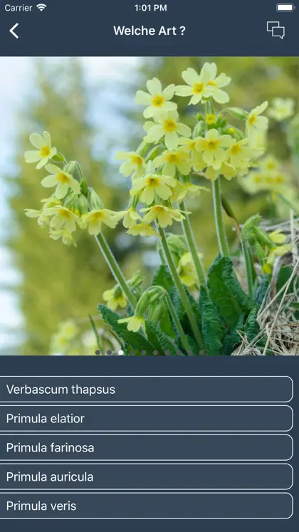 Screenshot 6 von 6 zu Feldbotanik
