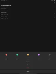 Audio Editor - Music editor ipad bilder 2