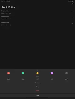 Audio Editor - Music editor iPad image 3