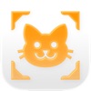 Cat Breed Identifier - Caty icon