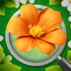 Blossom Triple: Find flowers icon