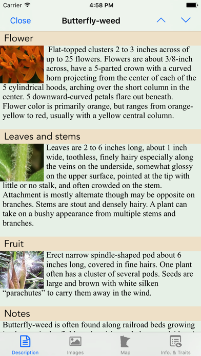 Minnesota Wildflowers Info. Screenshot
