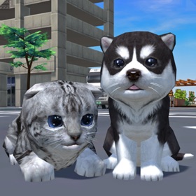 屏幕截图 (7) Cute Pocket Cat And Puppy 3D