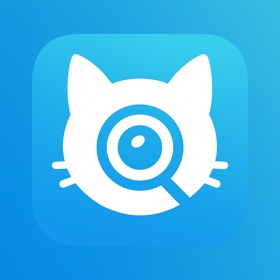 Cat Breed Identifier: Purr AI