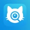 Cat Breed Identifier: Purr AI – Discover Your Cat's Breed in Seconds