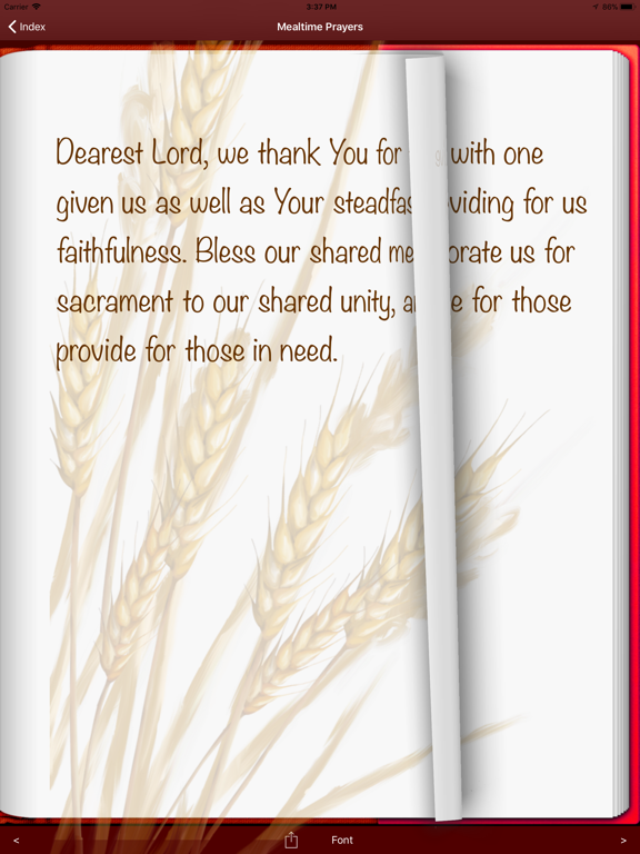 Screenshot #6 pour Mealtime Prayers