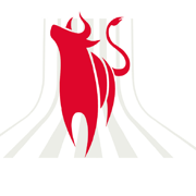 VEB Beleggen