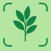 Plant Finder: Botanify icon