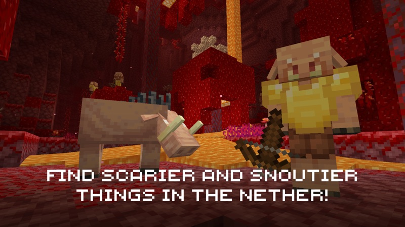Minecraft: Dream it, Build it! screenshot 9