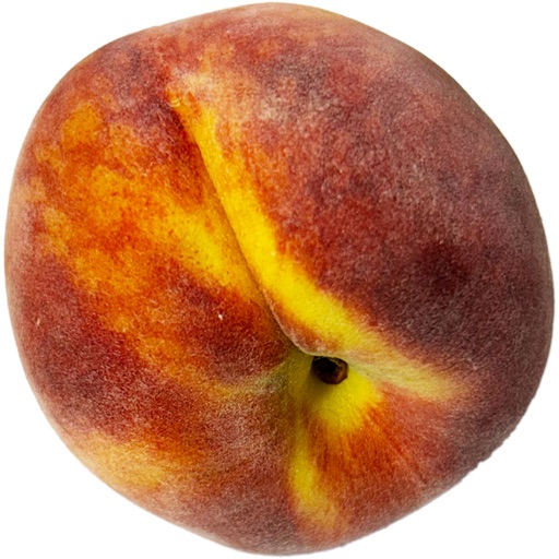 Words for Birds: Fruits