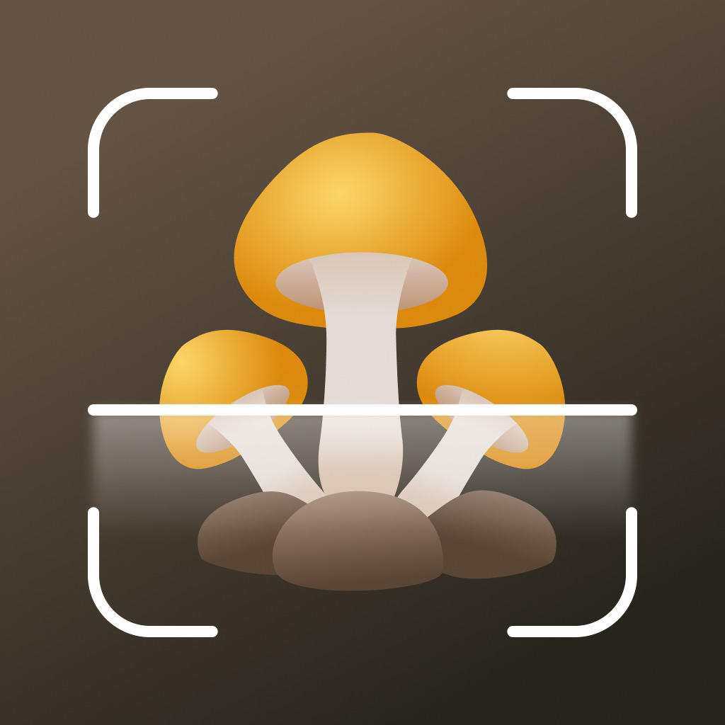 Get Mushroom identifier Picture ID for iOS, iPhone, iPad Aso Report